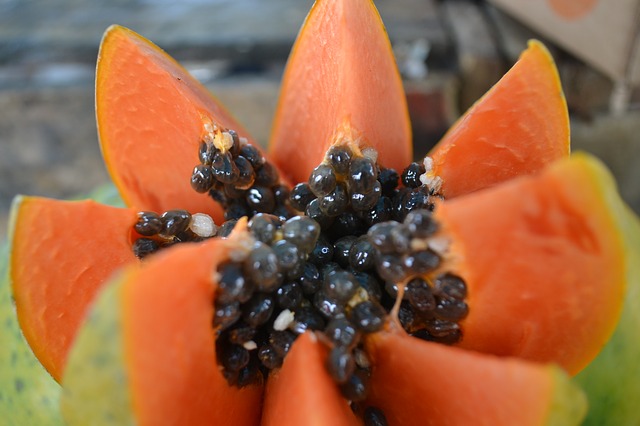 Papaya-Blog-Krebsvorsorge